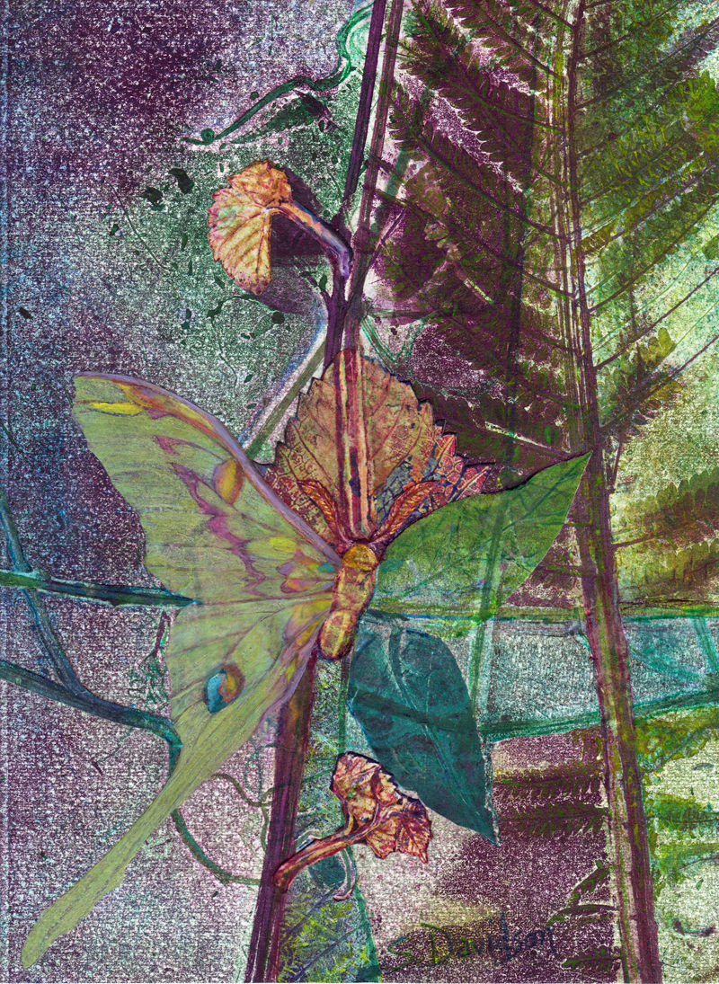 monoprinted leaf forms with leaves turning into a luna moth