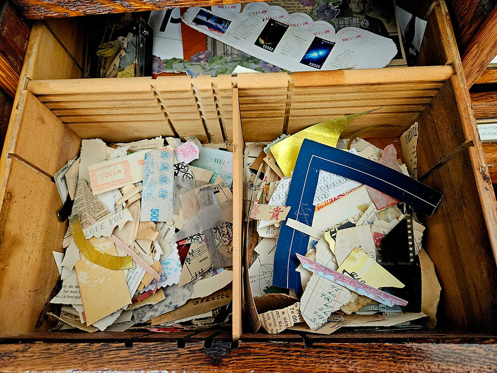 photo of old oak apothecary cabinet drawer and contents from top