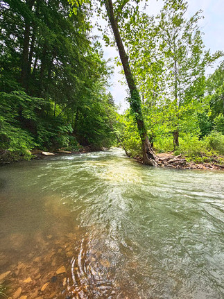 water rushing around a bend in a stream surrounded by forest