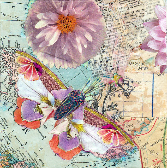 collage of imaginary butterfly made of flower petals