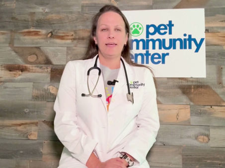 Vet Talk: High-Quality High-Volume Spay/Neuter