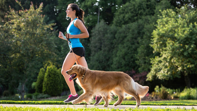 exercising your dog