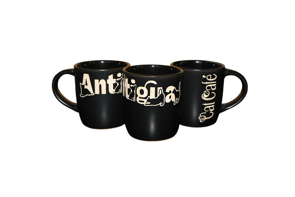 Miniatura: Taza del Antigua Cat Cafe