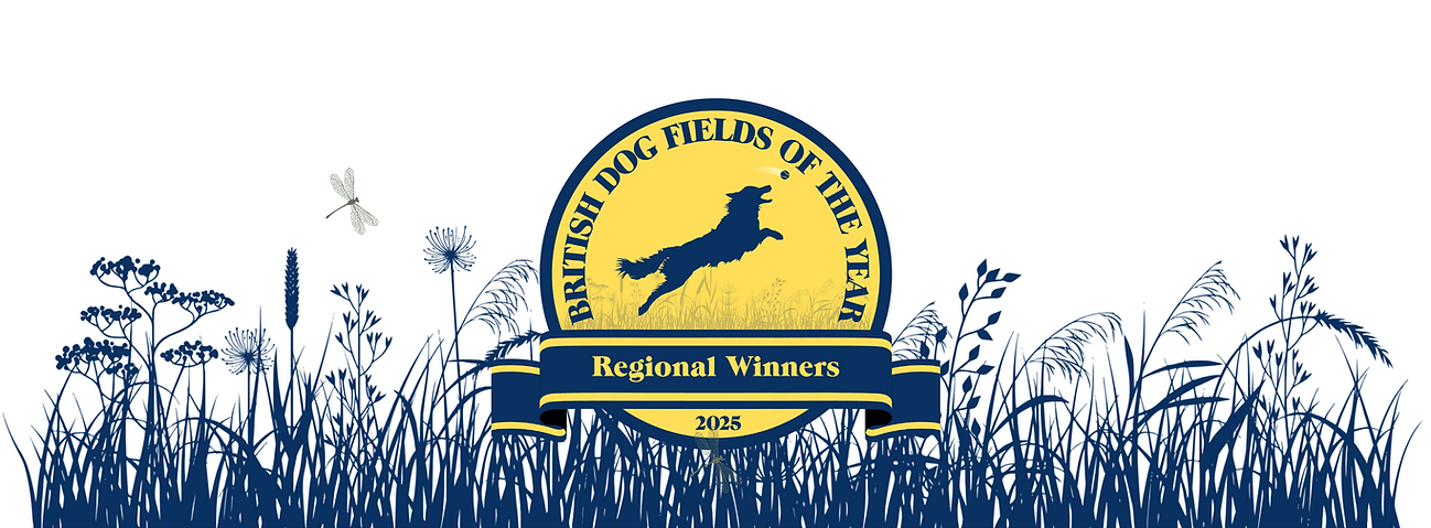 Regional Winner_FB Cover.png