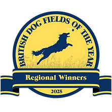 Regional Winner.png