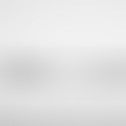 "mechanical pencil"
(メカニカル・ペンスィル)