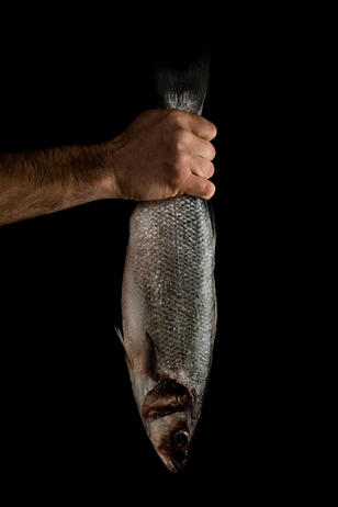 Seafood und Fisch von Luma Delikatessen für den Grill