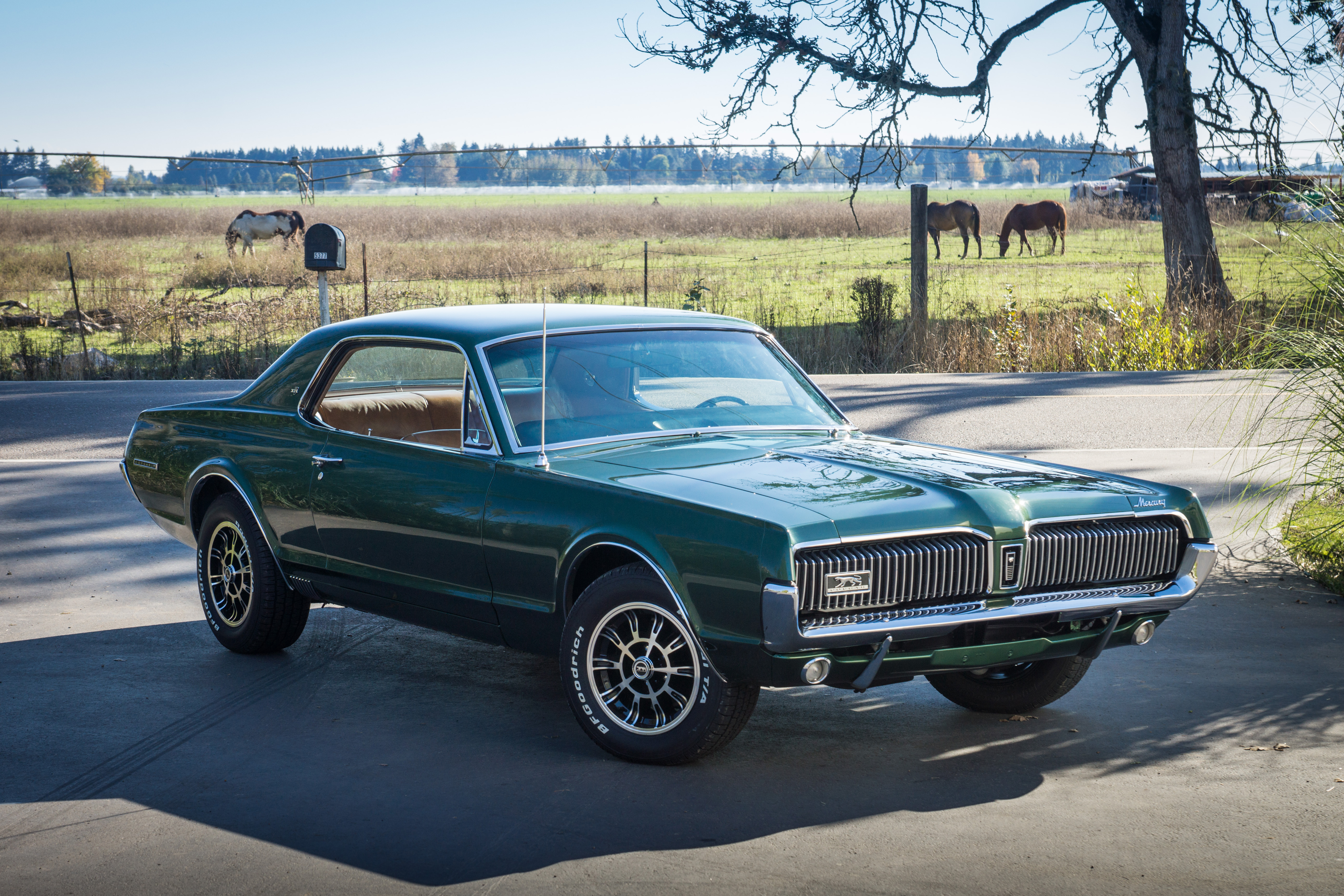 Del Mehlhoff's '67 XR7