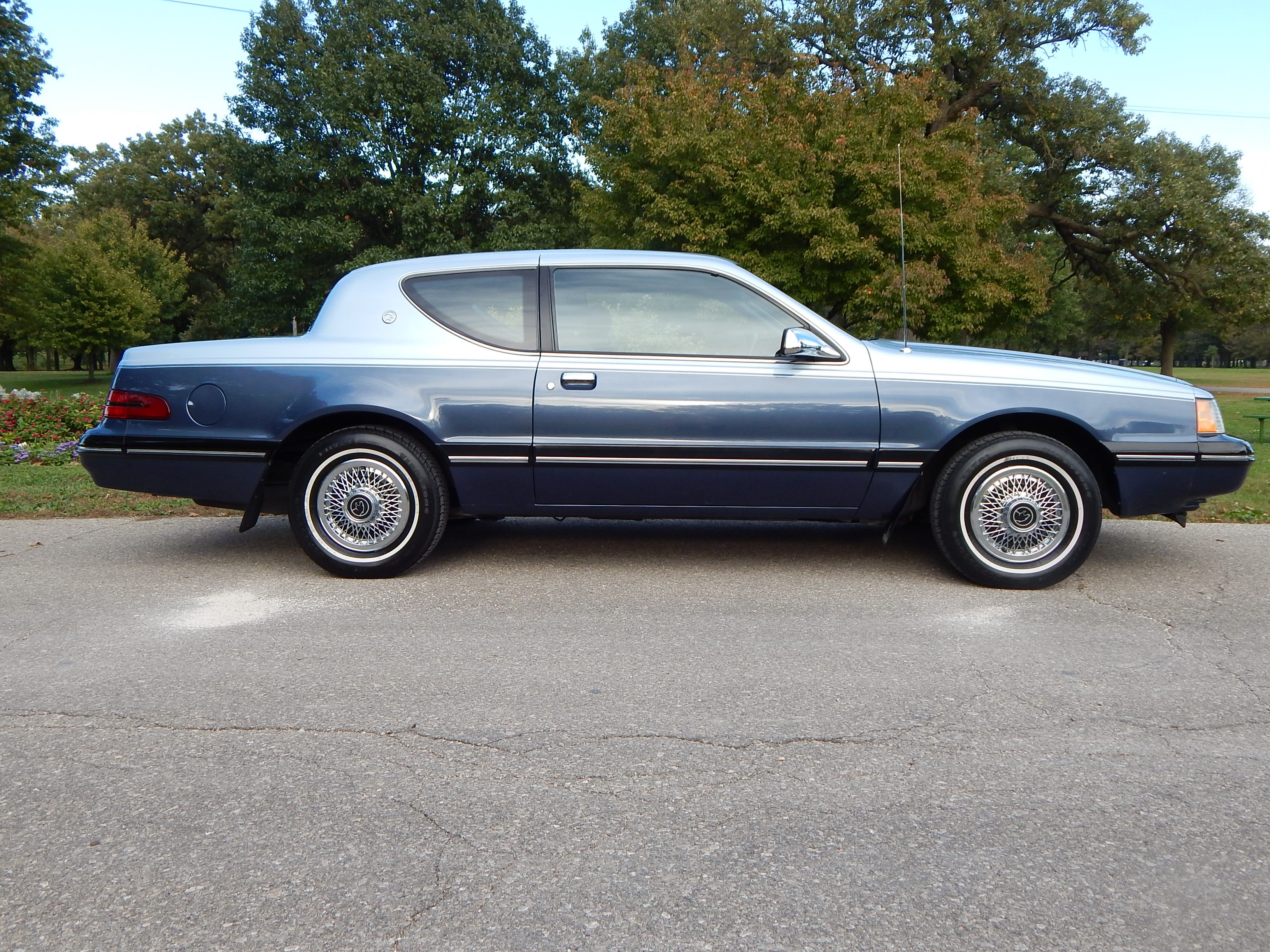 Lynn Mahncke's 87 LS