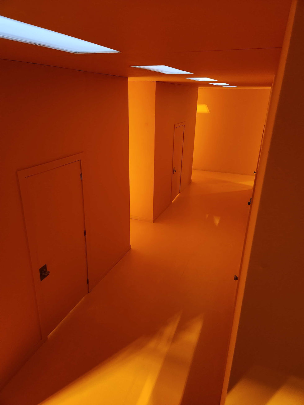 20231101_232756