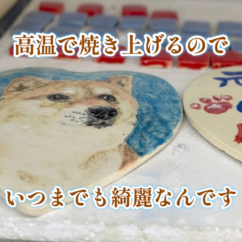 サムネイル： パステルイエロープレート商品番号A003