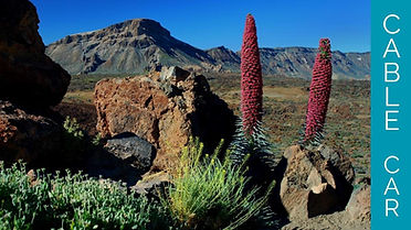 Mont Teide with cable car tour