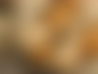 GLUTEN - 5 impacts on Women's Health