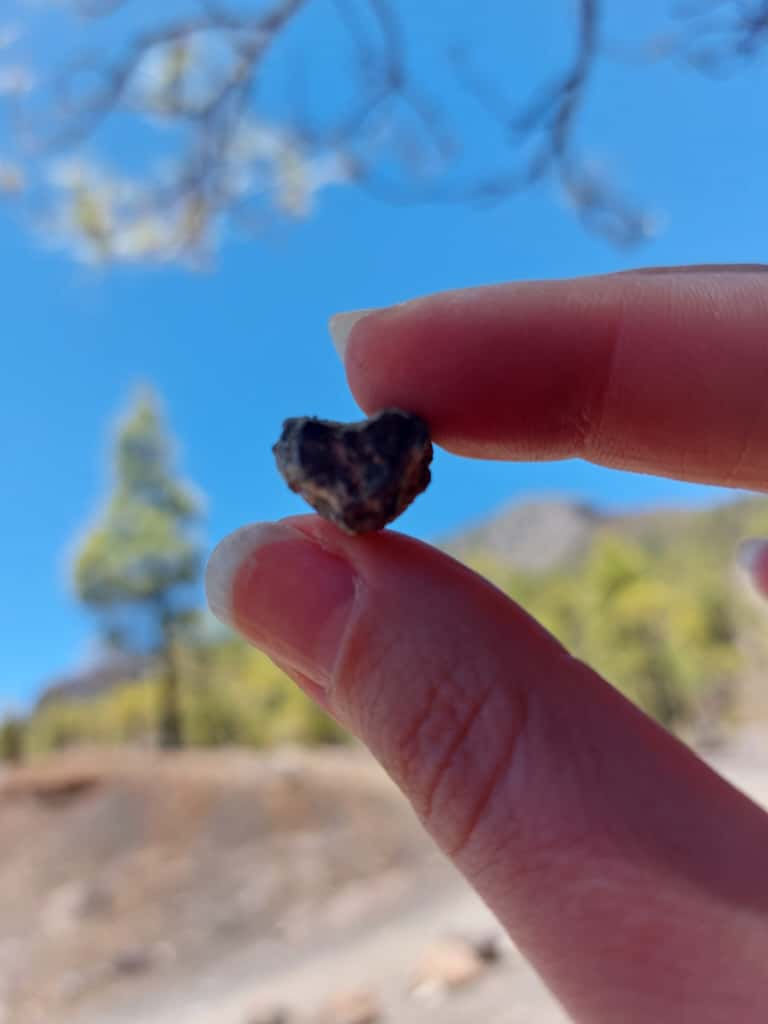 Free Webinar 4/11 at 12h CET: Anxiety in Menopause 