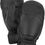 Thumbnail: Hestra Omni Mitt
