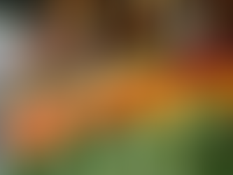 Boost Your Small Business with Social Media Management