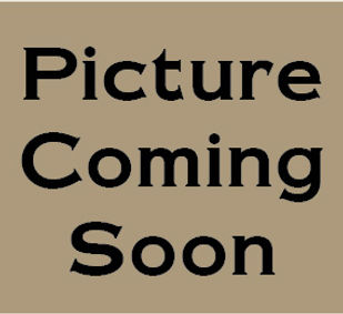 Picture Coming Soon 164x124px.jpg