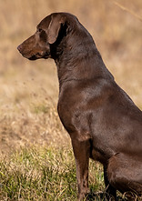 7.2 Jeep_5226_02_21_2022.jpg