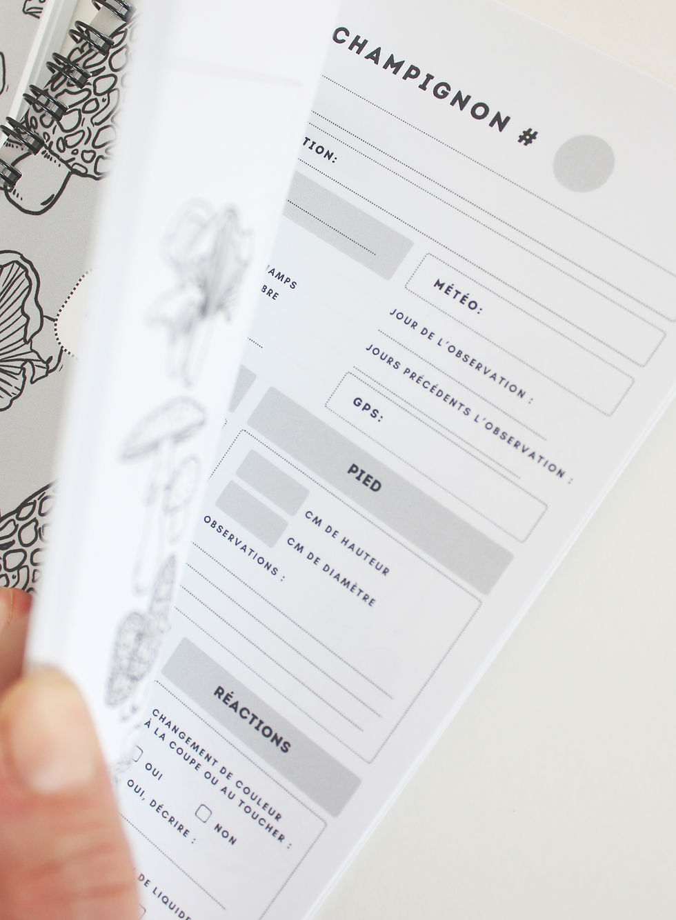 Miniature : CARNET D'OBSERVATIONS - Les Champignons X RETOUR À LA TERRE