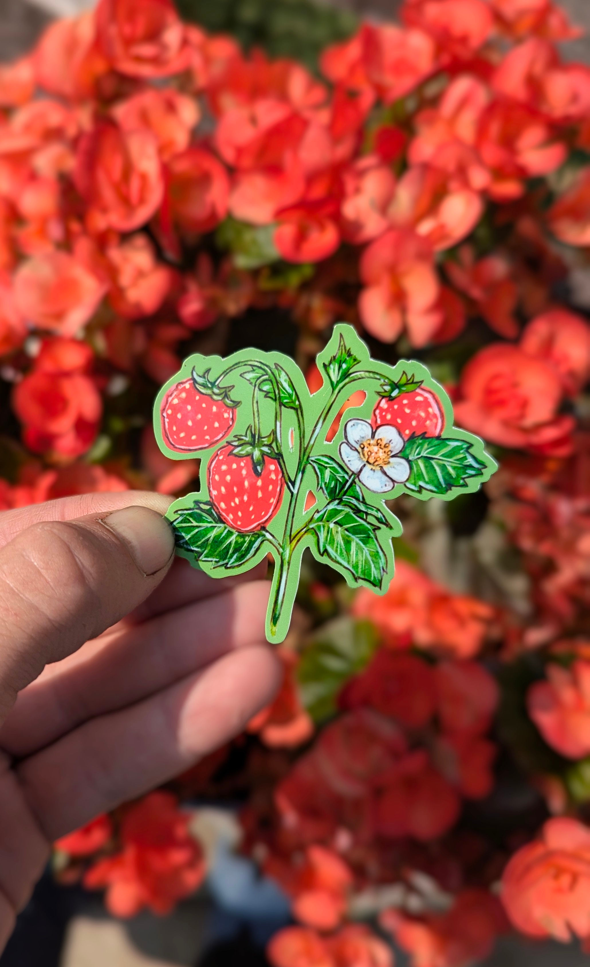 Fraises Sauvages - Autocollant Individuel - Résistant à l'ea