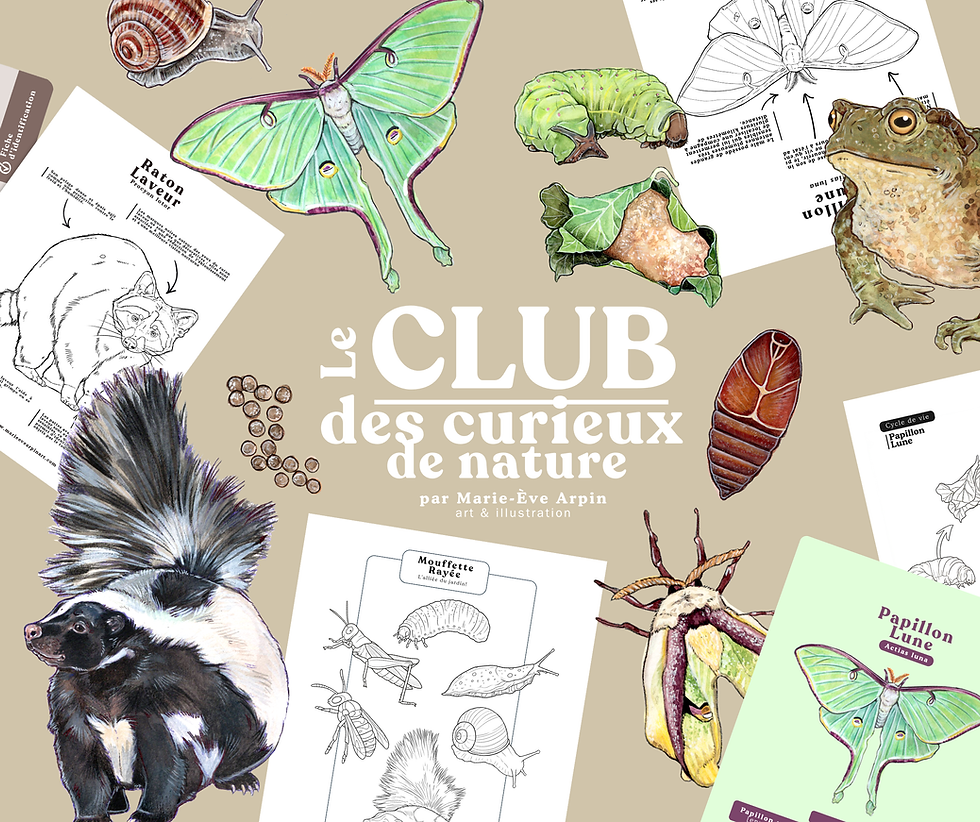 Miniature : ** ENVOI POSTAL ** Le CLUB des CURIEUX DE NATURE [Abonnement Mensuel]