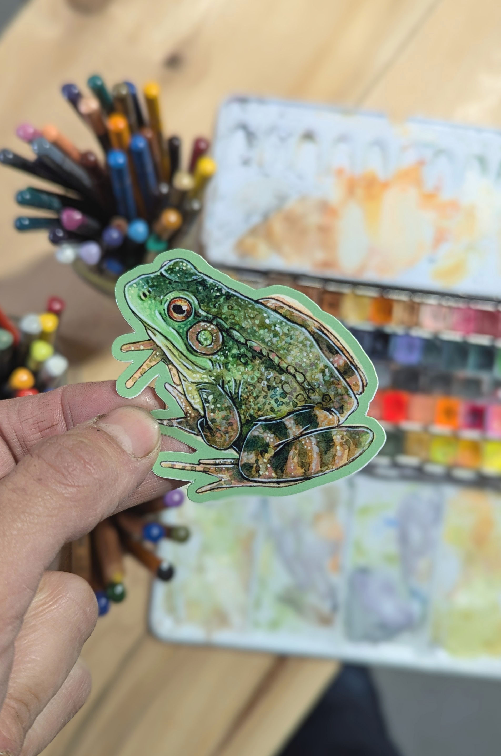 Grenouille Verte - Autocollant Individuel - Résistant à l'eau
