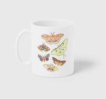 tassepapillons.jpg