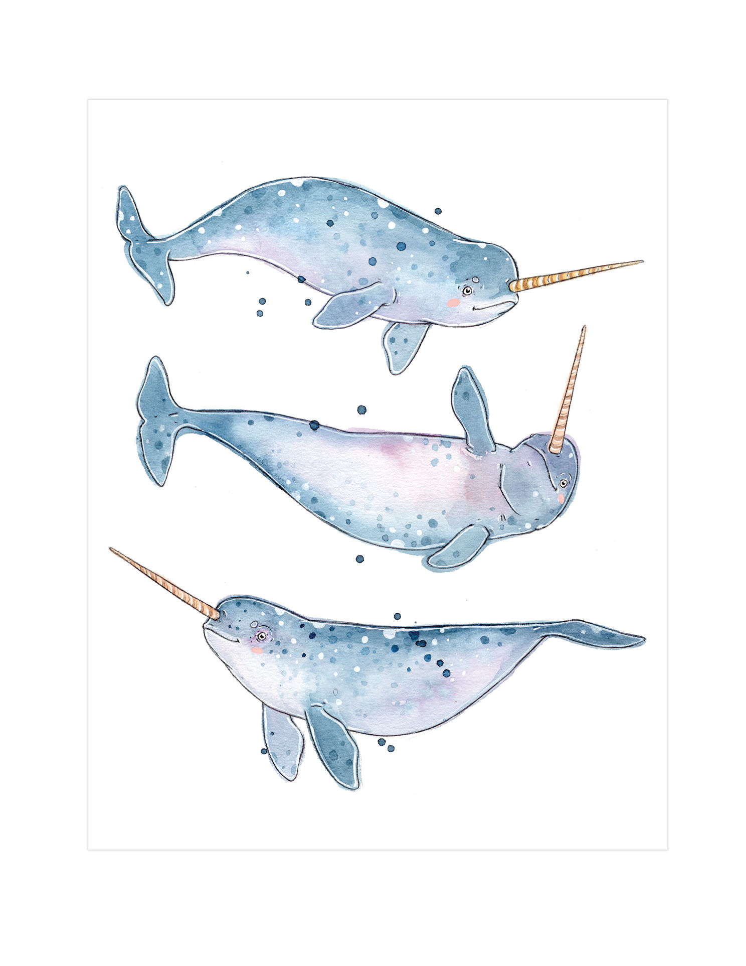 Le Trio de Narvals - 8,5 x 11 pouces.