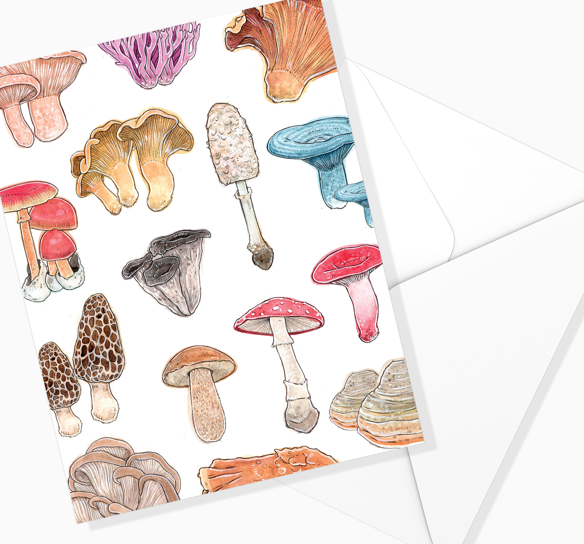 Les CHAMPIGNONS - Fond Blanc - Carte de souhaits