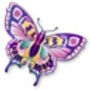 papillon_edited.jpg
