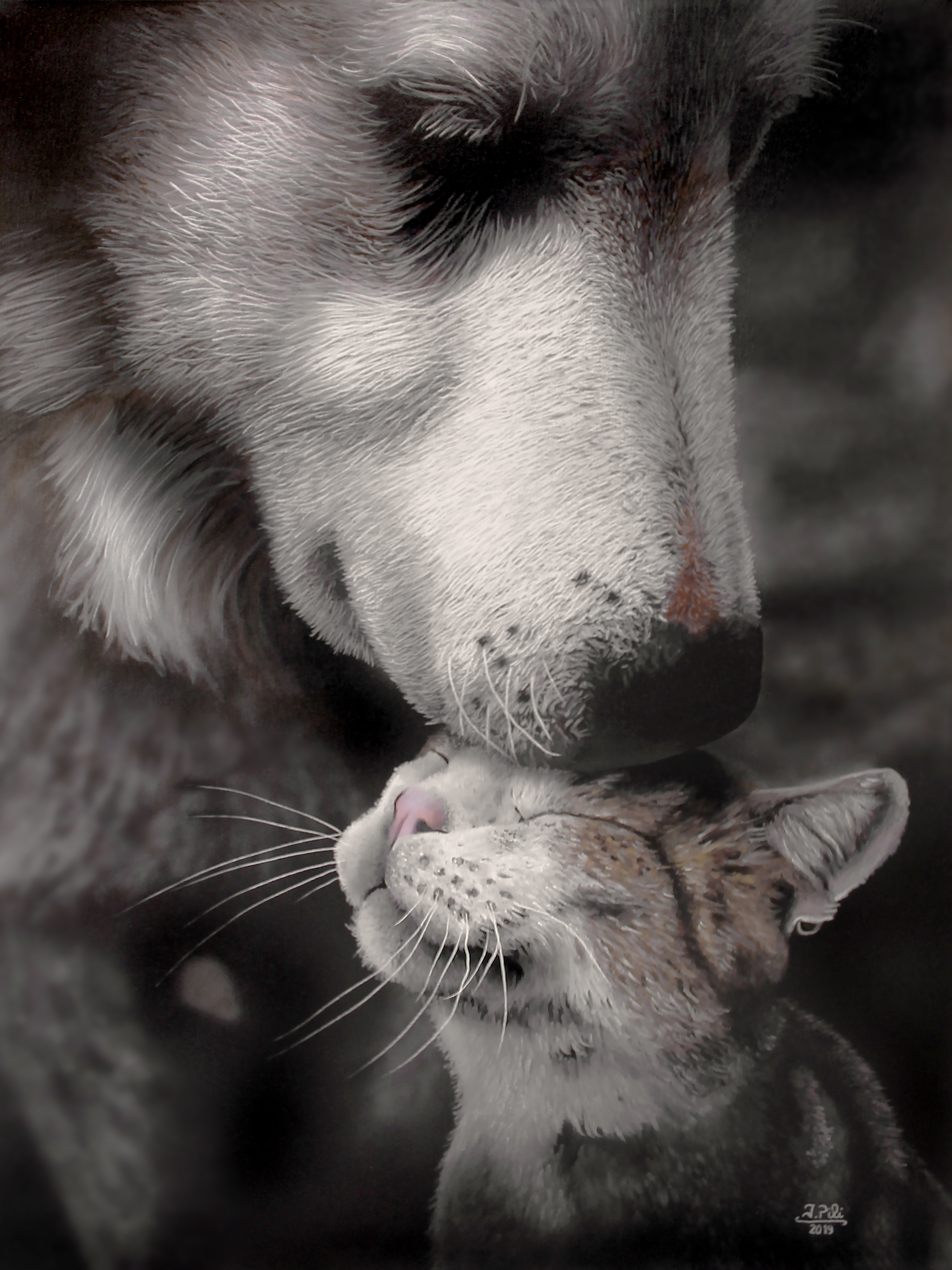 Animal stories #6