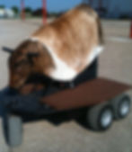 Robo Bull Xtreme, mechanical bull