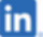 LI-In-Bug.png