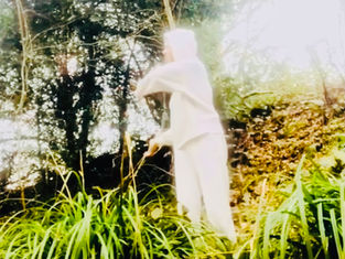 Qigong, Energy, & Magnetism
