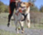 image_edited