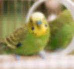 image_edited