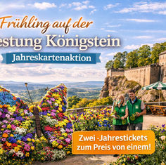 Frühling auf der Festung Königstein