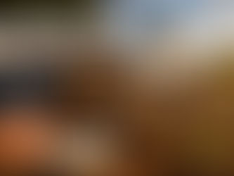Männertag im Windmühlen-Biergarten