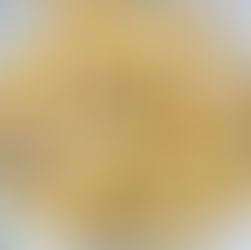 Winzerstube "Zum Rebstock" - Wochenkarte!