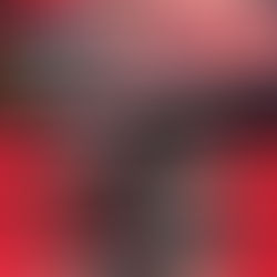 Selgros Aktionswochen im Juni: Fleischgenuss zum Spitzenpreis