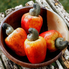 Vegannett BIO - Wusstest du, dass die Cashewnuss aus dieser Frucht stammt?