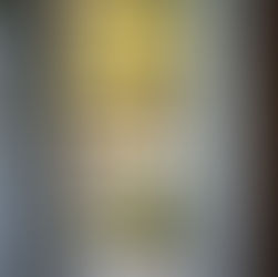 Alles, was sie über Terrassentüren wissen müssen