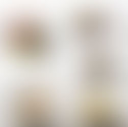 Die aktuelle Klassiker-Karte im Caroussel Nouvelle als Reel!