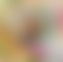 Yam Yam Dresden empfiehlt - Gà Xiên – Hühnerfleischspieße!