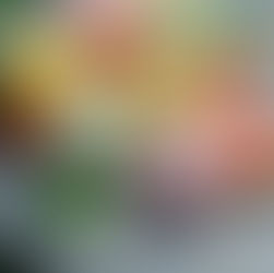 Daifuku das ideale Dessert bei diesem schönen Wetter in der Umaii Ramenbar genießen!