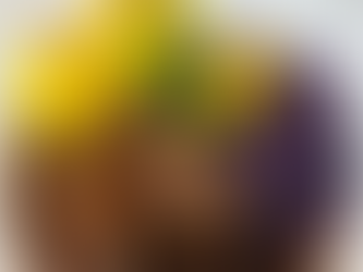 🍽️ Frühling am Teller: Rouladenzeit im Historisches Fischhaus