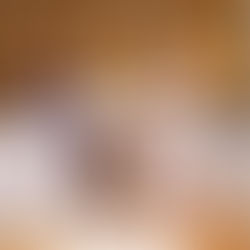 Dresdner Backhaus empfiehlt - *Sonderedition 2021*!