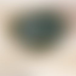 Bewirb dich jetzt und werde Teil unseres Emils 1910 -Teams!