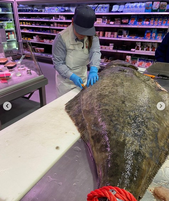 130 kg Weißer Heilbutt heute und morgen im Kastenmeiers Restaurant im ...