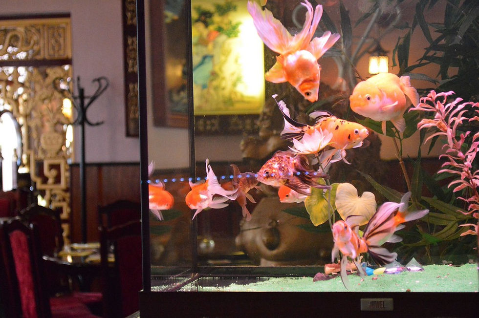 Der Gastraum im Big Moon ist alles zusammen: großzügig, exotisch und gemütlich. © Big Moon/PR